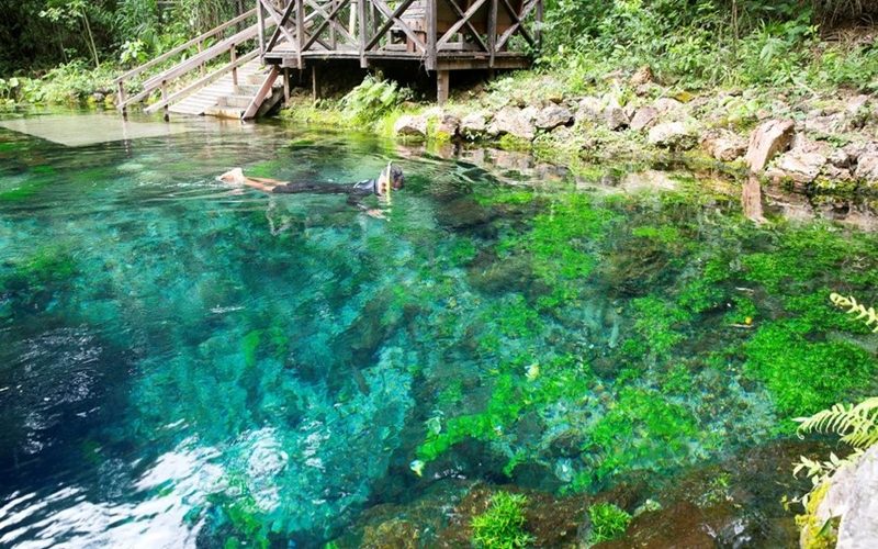 5v182zp5whl9f7qdine9p9ncf