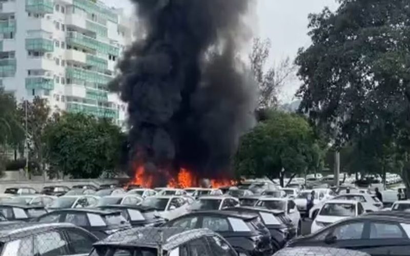 B.