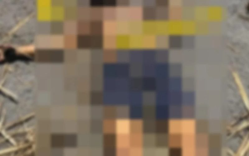 bn