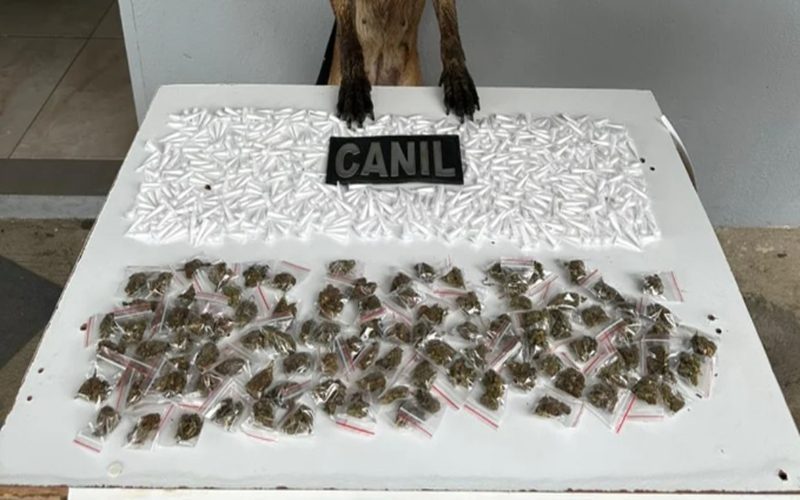 canil