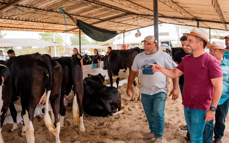 expo-bacia-leiteira-fomenta-e-valoriza-producao-do-setor-agropecuario-alagoano