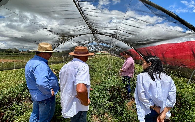 secretaria-de-agricultura-vai-implantar-vitrine-tecnologica-no-sertao